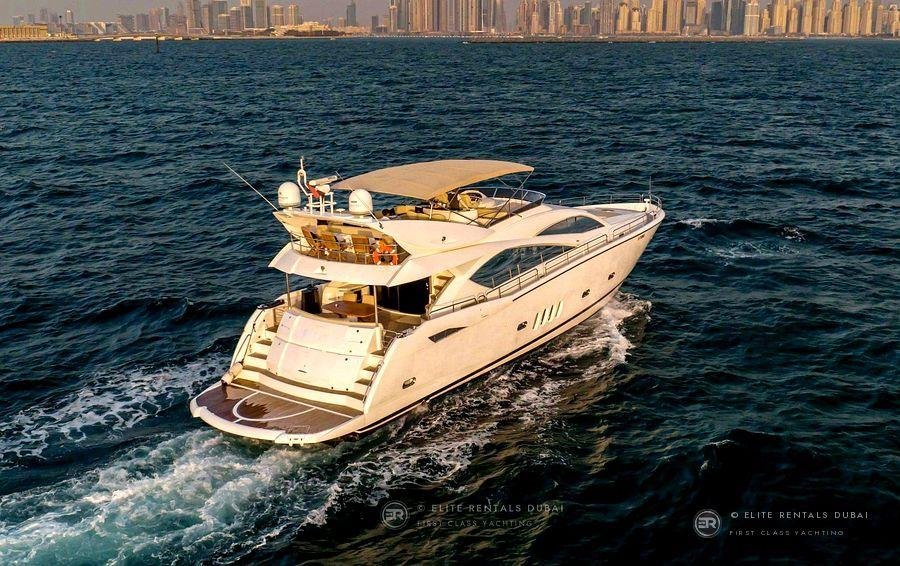 ELITE PREDATOR HAVANA